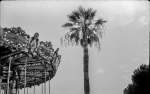 Lunapark