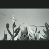 NegFile1034_0005 Pardes-Hannah 2022