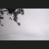 NegFile1035_0005 Karmiel_2022