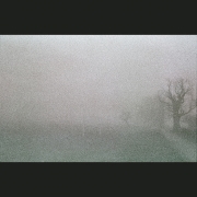 NegFile1081_0021_fog #2