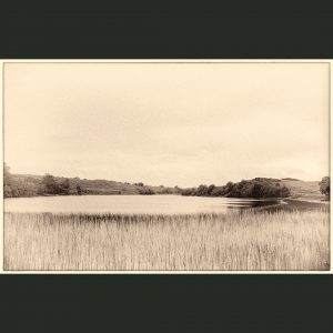 Title: Landscape #26 Material : Archival Giclee Edition: limited 10 Dimensions : TBD