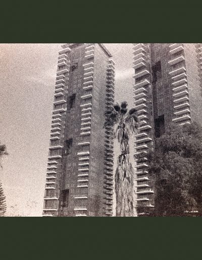 Title: al-Jammasin al-Gharbi (NegFile2070v2_Y10_0033) Material : Archival GicleeEdition: limited 10 Dimensions : 75cm X 48cm