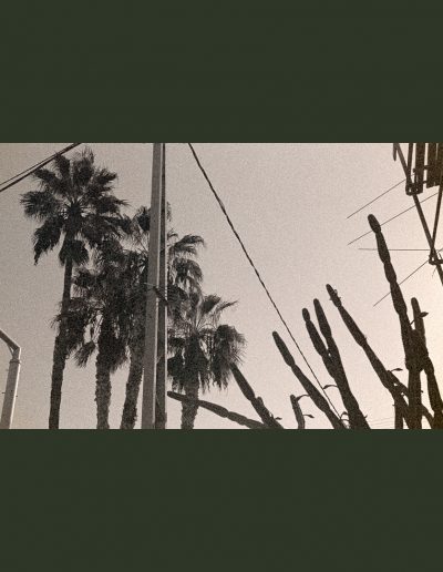 Haifa, Israel (NegFile2071_Y10_0021)