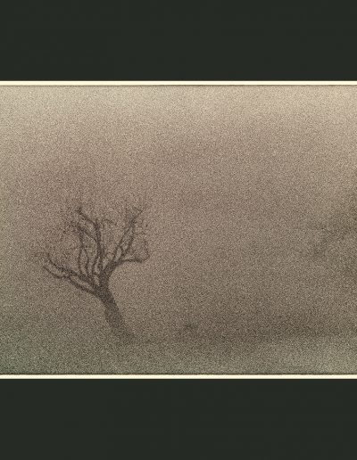 Title: Fog #9 Material : Archival Giclee Edition: limited 10 Dimensions : TBD