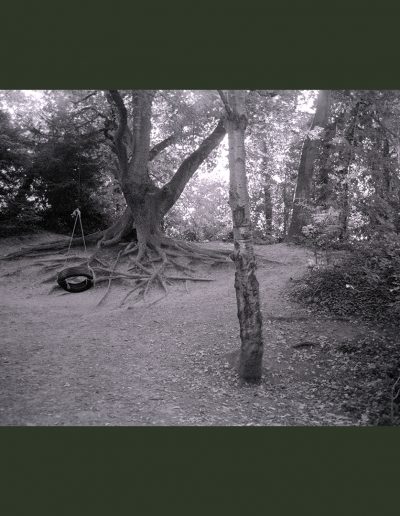 Parkland Walk-North (NegFile2046_0008)