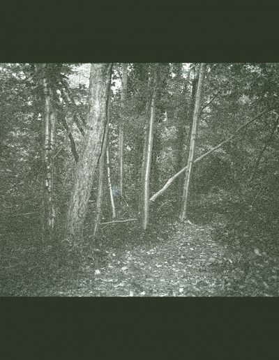 Highgate Wood-V2 (NegFile2050_0035)