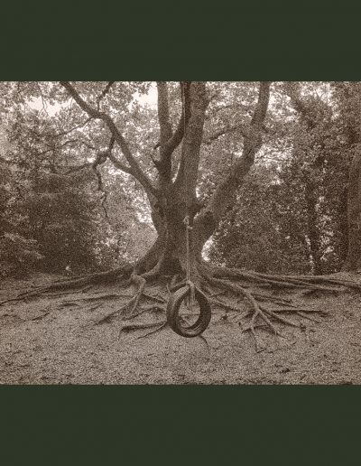 Parkland Walk-North (NegFile2056_0003)