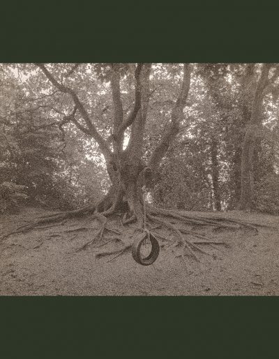 Parkland Walk-North (NegFile2057_0017)