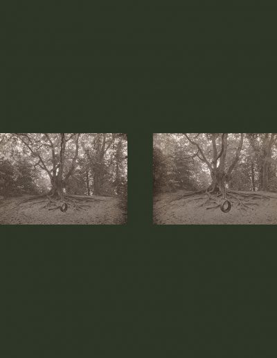 Parkland Walk-North; Diptych (NegFile2057_0018-17)