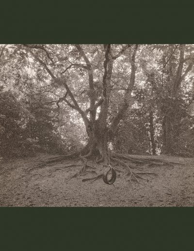 Parkland Walk-North (NegFile2057_0018)