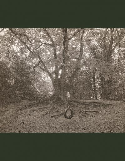 Parkland Walk-North (NegFile2057_0021)