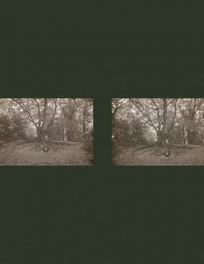 Parkland Walk-North; Diptych (NegFile2057_0024-21)
