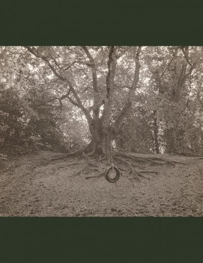 Parkland Walk-North (NegFile2057_0024)