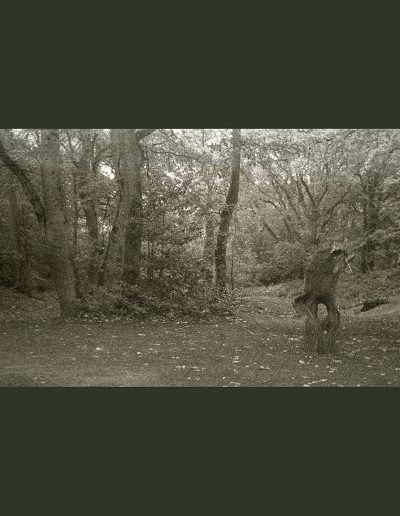 Hampstead (NegFile2062_0010)