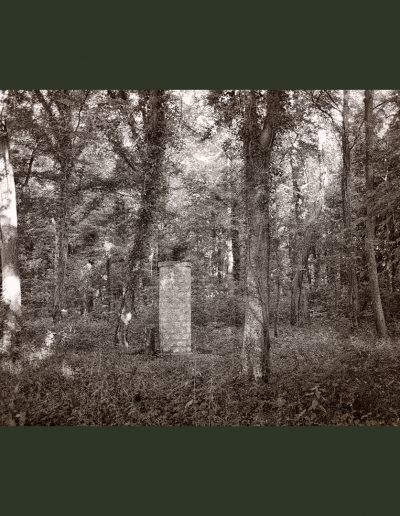 Fontainebleau_2022 (NegFileN2045_0005_V2)